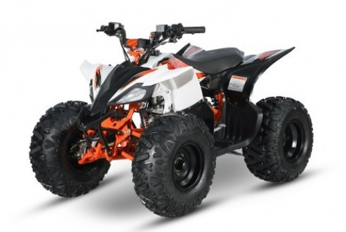 Kayo ATV AT125 Sport Art. Nr. V2058